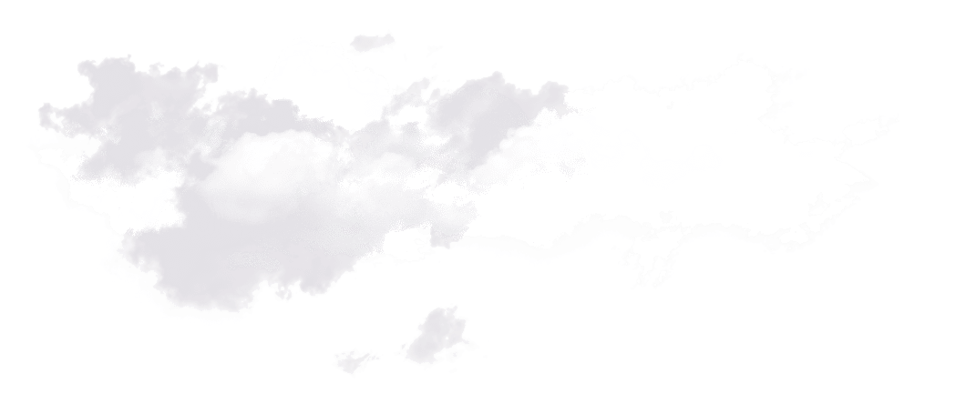 10006