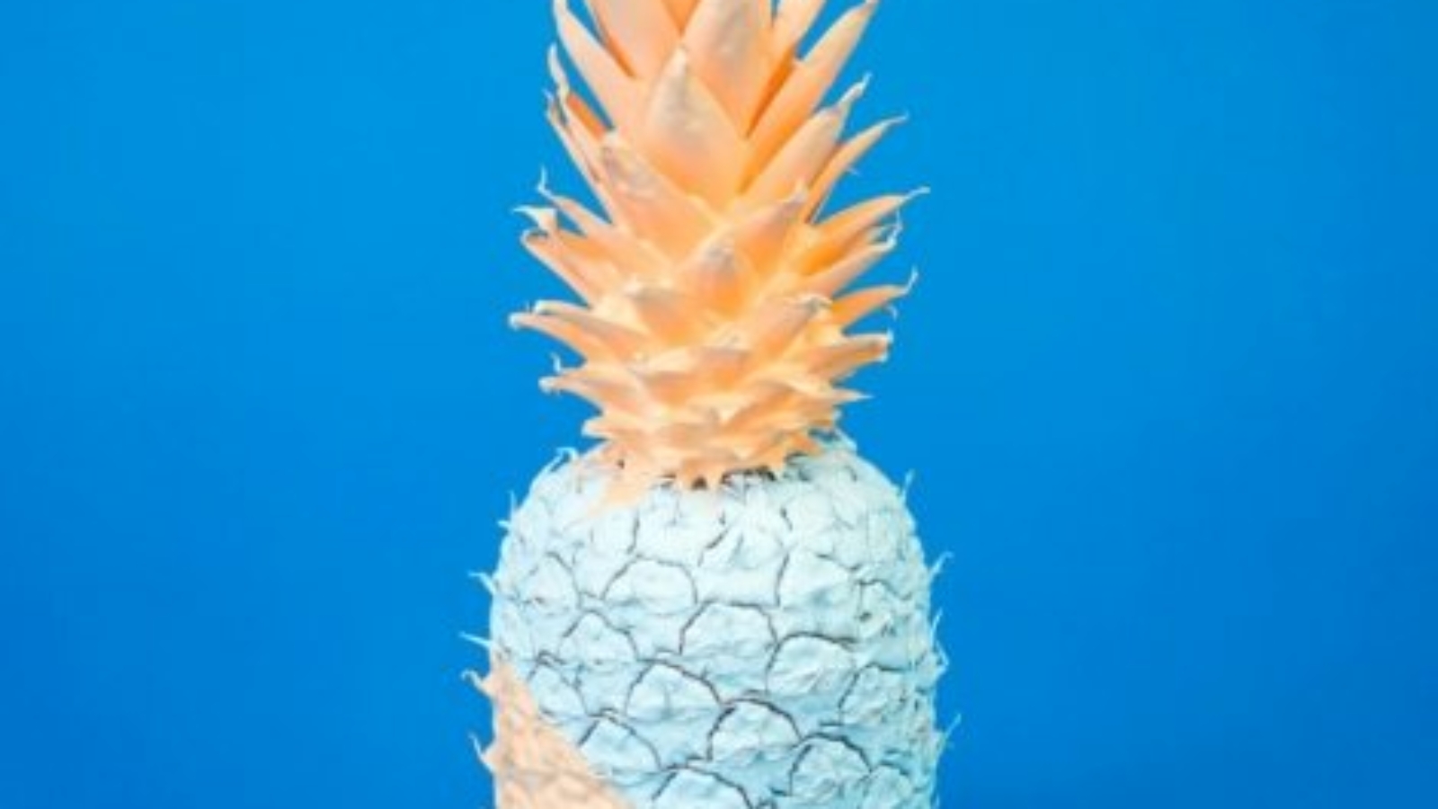 davisco-rhUU1pemhQ0-unsplash-scaled-470x470