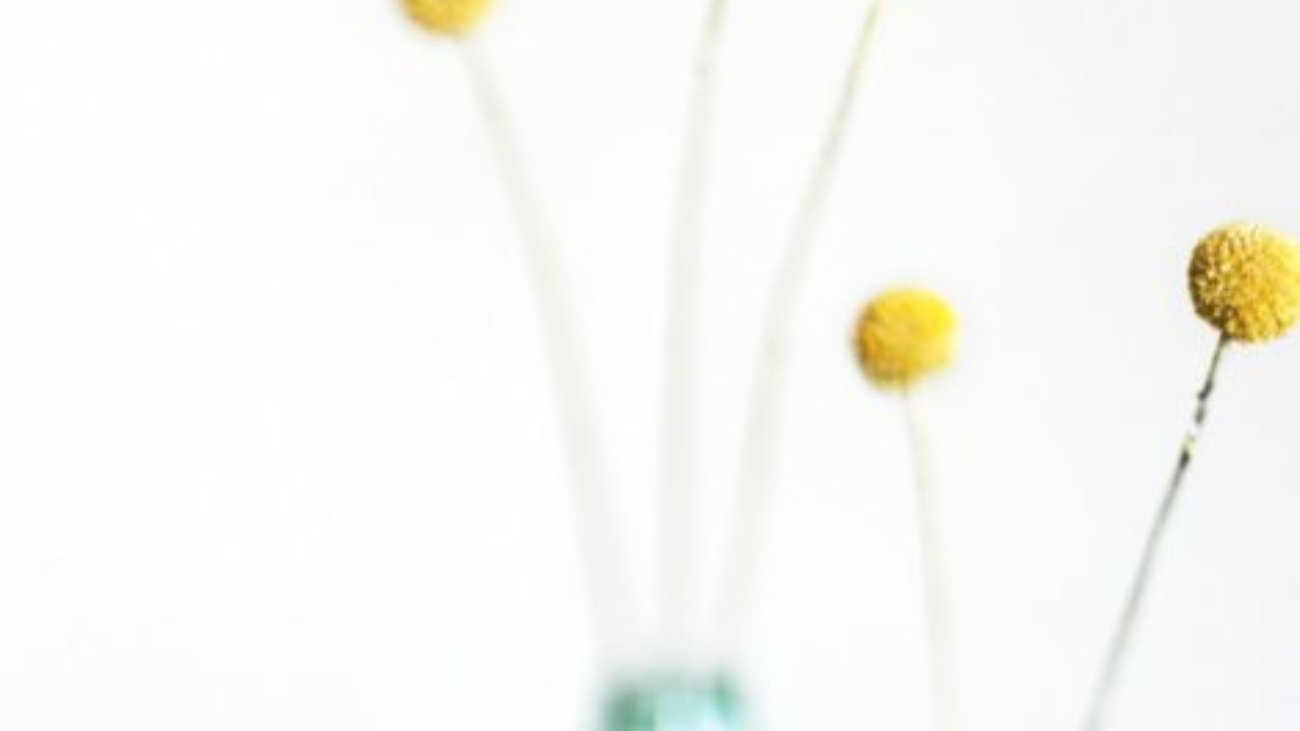 kari-shea-j0dw8kTxgmM-unsplash-scaled-470x470