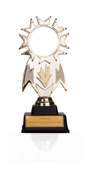 awards-175x345