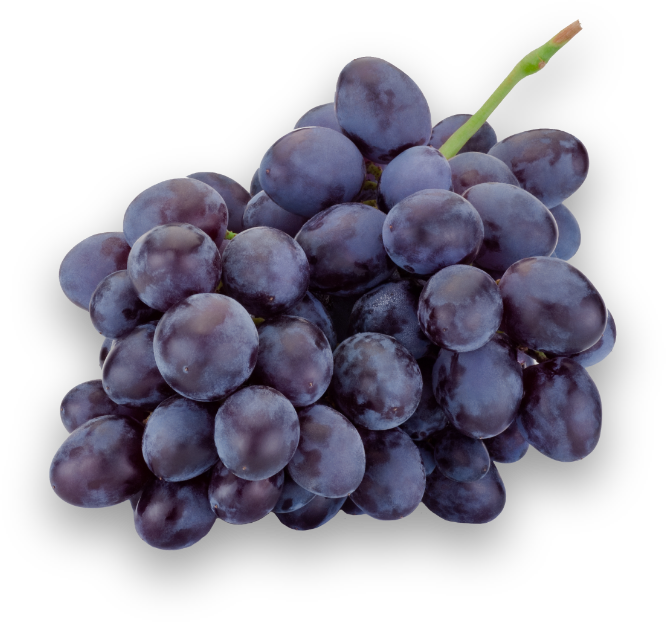10002