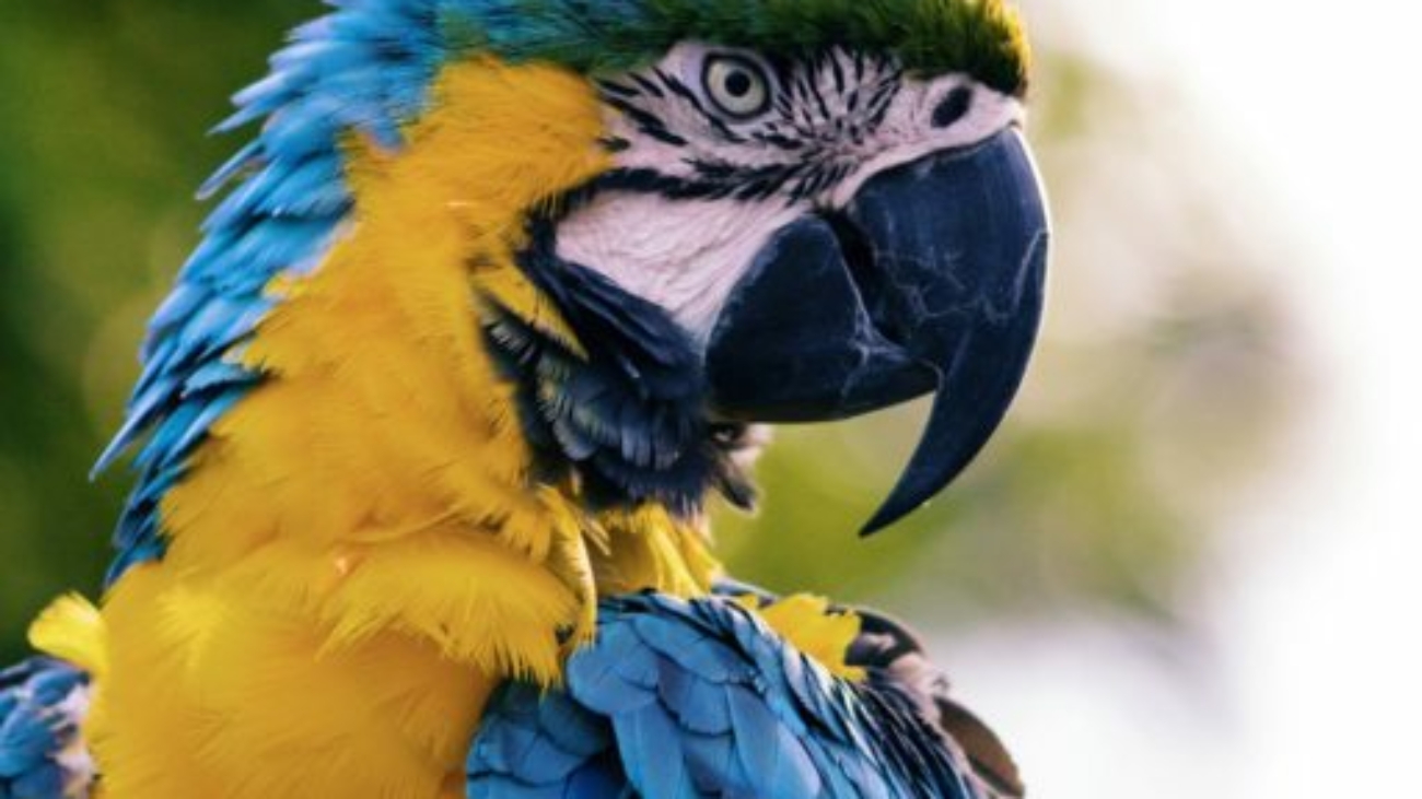 andrew-pons-57133-unsplash-1-512x768