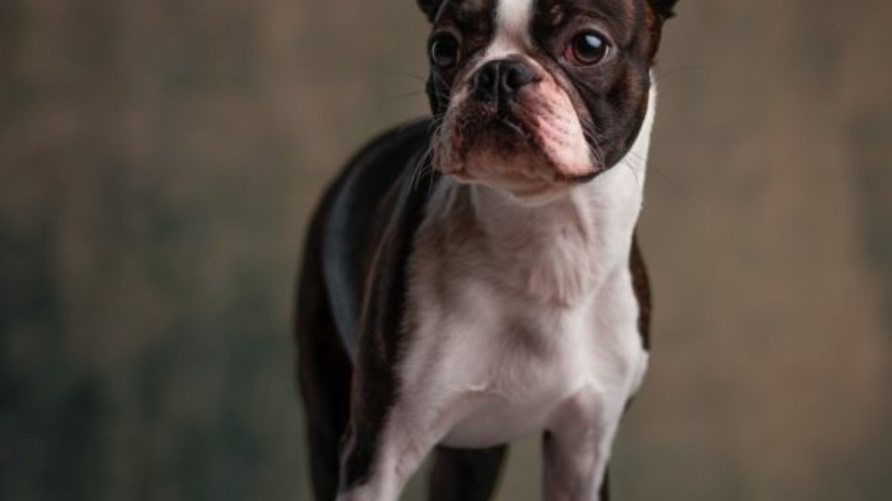 janko-ferlic-1187845-unsplash-563x768