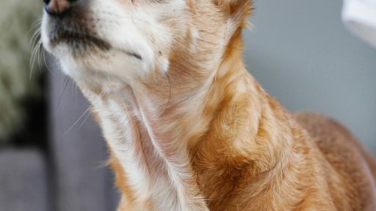 jessica-knowlden-592207-unsplash-1-512x768