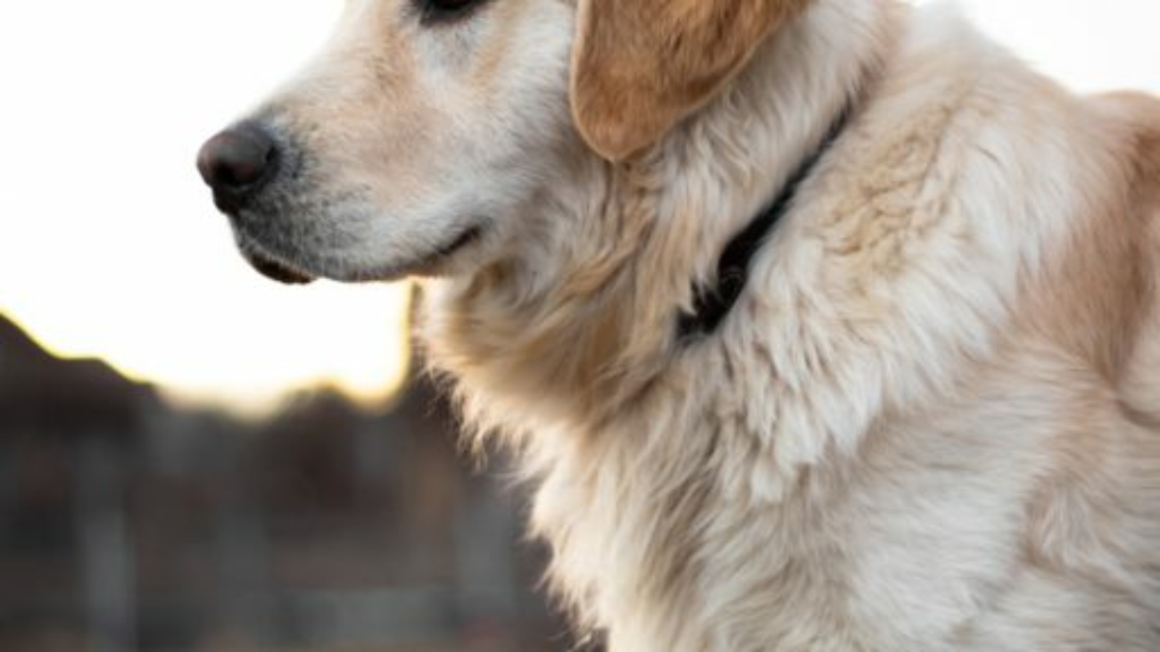 thomas-tokos-1275116-unsplash-1-512x768