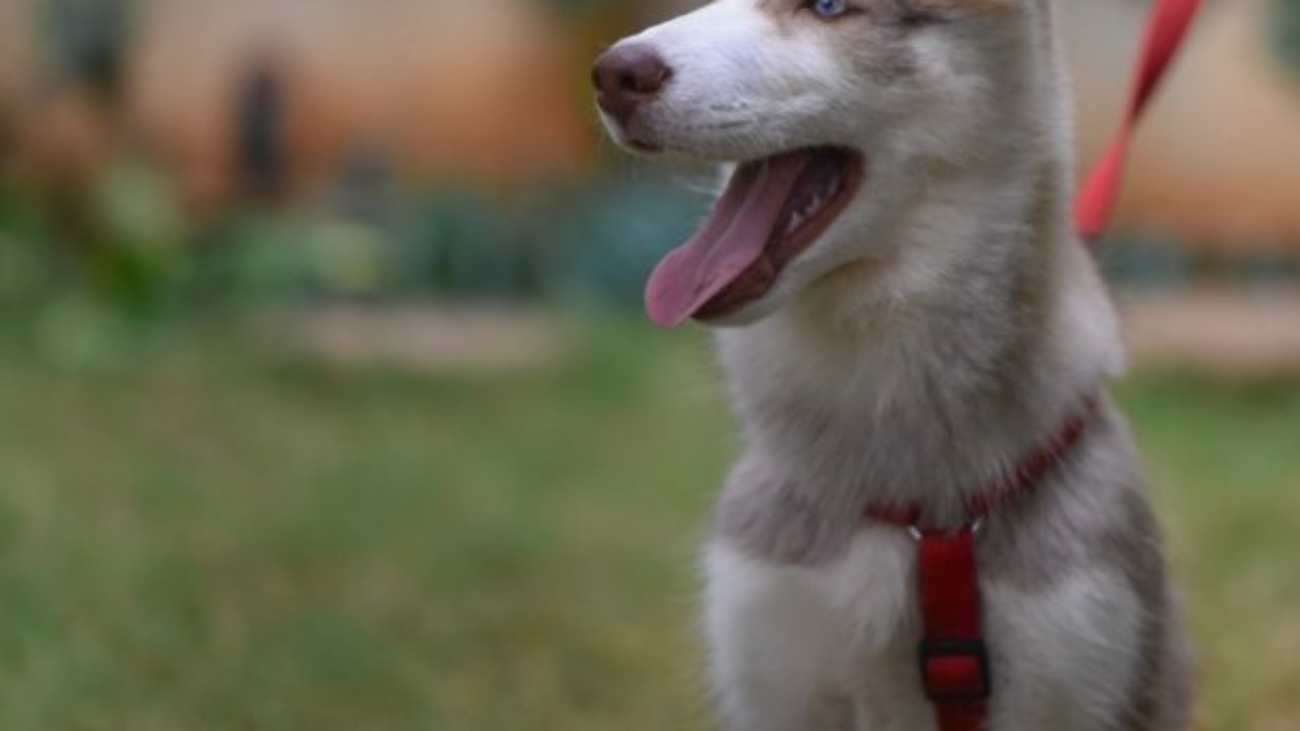 v-srinivasan-1163717-unsplash-1-616x768